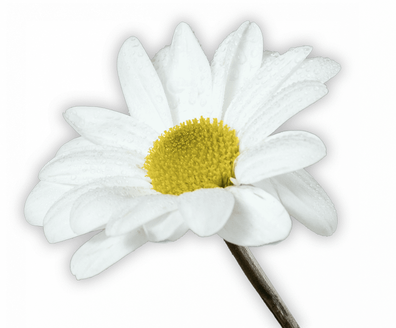 Turcato raccolta differenziata